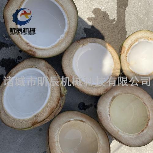 带皮青椰子切半机椰子开半机海南椰子劈半取汁机
